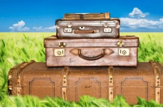 Providing Compassionate and Stress-Free Pet Relocation Services
